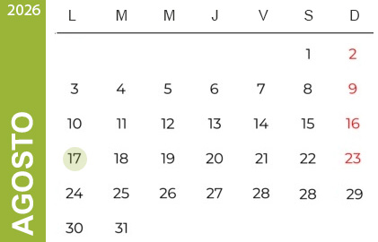 Feriados Agosto 2024