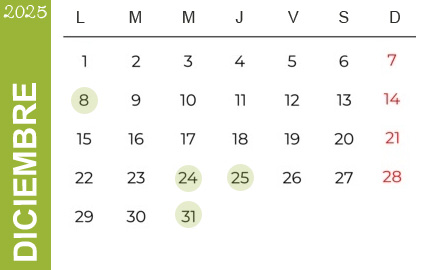 Feriados Diciembre 2023