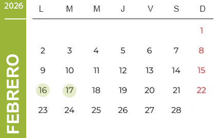 Feriados Febrero 2025