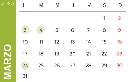 Feriados Marzo 2025