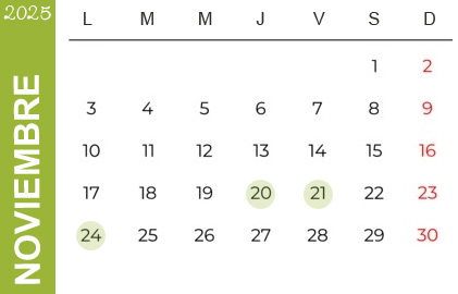 Feriados Noviembre 2023