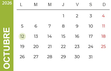 Feriados Octubre 2024