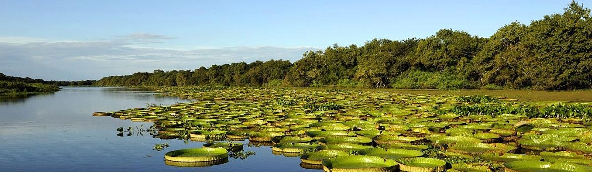 Esteros del Iber Corrientes