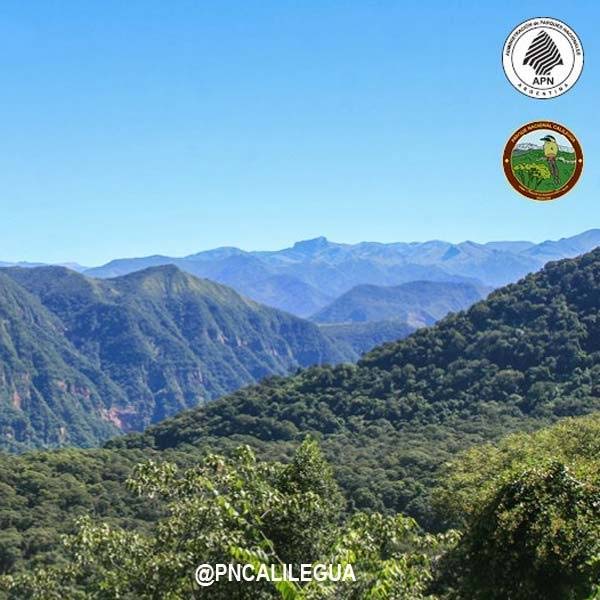 Parque Nacional Calilegua - Jujuy