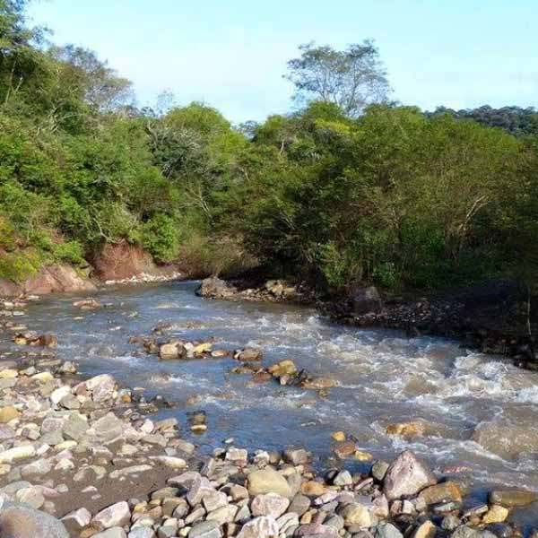 Reserva Natural Las Lancitas - Jujuy