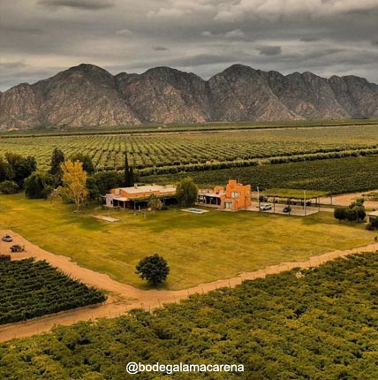 Bodegas - Chilecito, La Rioja