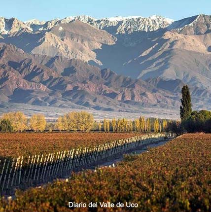 Senderos - San Carlos, Mendoza