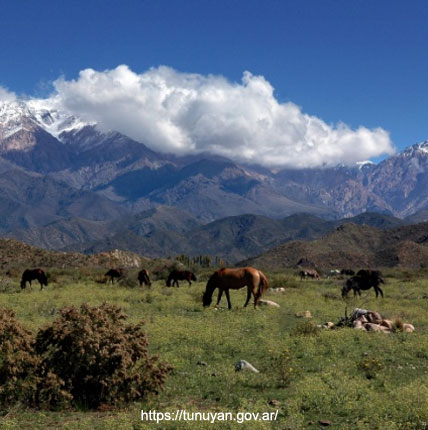 Pampa del Durazno - Tunuyn, Mendoza