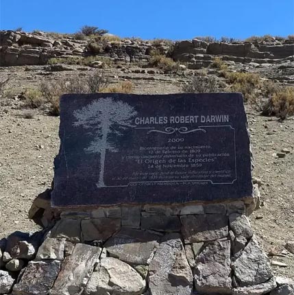 Bosque de Darwin - Uspallata, Mendoza