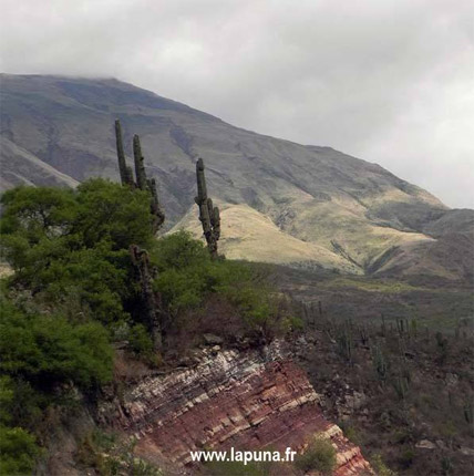 Quebrada de Escoipe - Chicoana, Salta