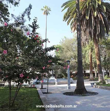 Plaza - Chicoana, Salta