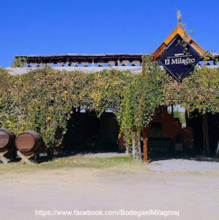 Bodega El Milagro - Ruta del Vino, San Juan
