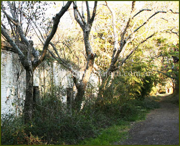 Barrio Chino - Isla Martín García