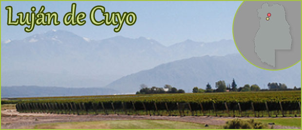 Luján de Cuyo - Mendoza 