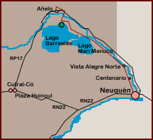 Proyecto Dino en Cutral-Có - Neuquén