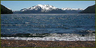 Parque Nacional Laguna Blanca - Neuquén