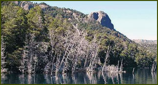 Bosque Sumergido - Neuquén