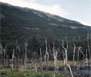 Parque Nacional Tierra del Fuego - Ushuaia